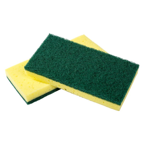 Your Direct Source For Natural Sponges - Sponges Direct Inc